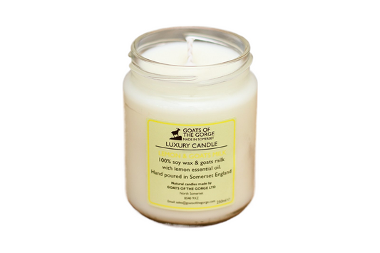 Goats Milk Lemon Candle