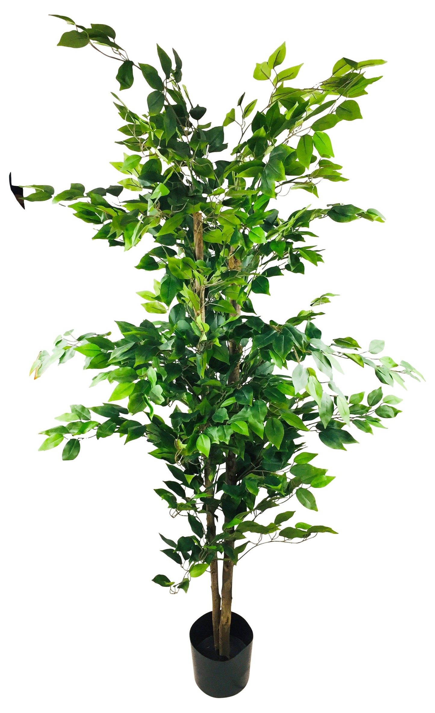 Artificial Ficus Tree With Pot 1.8m