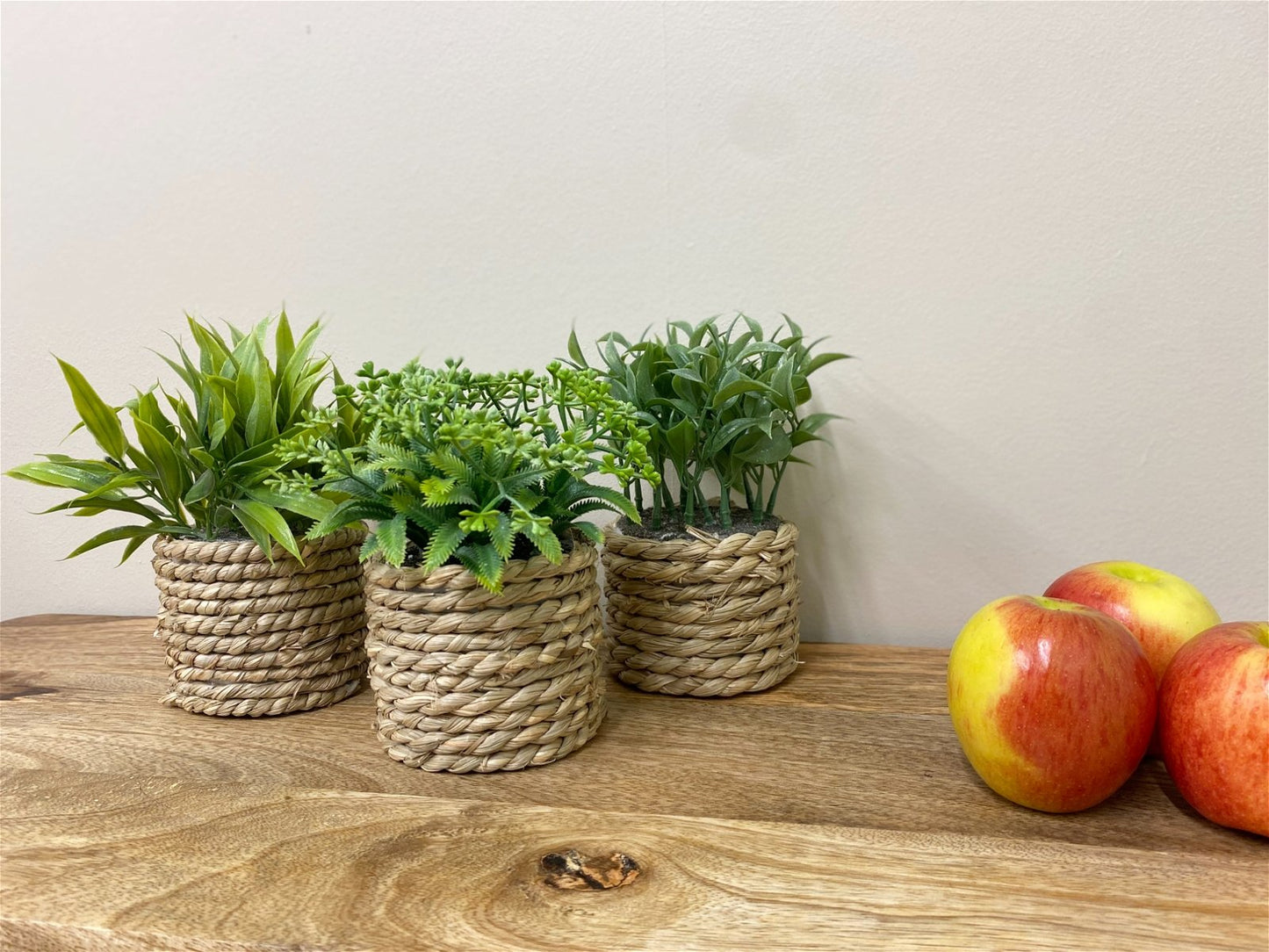 A Set Of Three Rope Effect Pots And Artificial Succulents