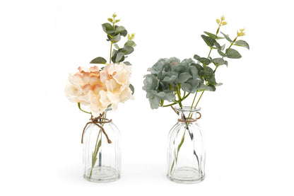 Set of Two Hydrangea in Glass Vases