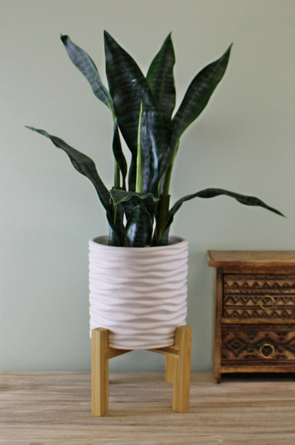 Small White Stoneware Planter On Wooden Stand